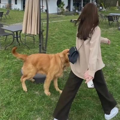 毒枭女煞星